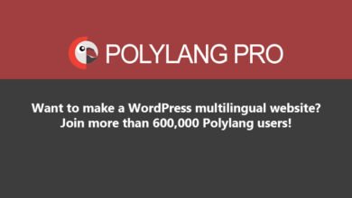 Polylang Pro